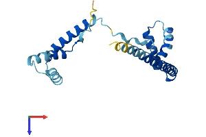 AlphaFold protein structure predicition of Human Recombinant HMGB4 Protein, UniprotID Q8WW32