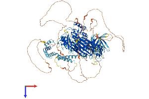 AlphaFold protein structure predicition of Human Recombinant INPP5D Protein, UniprotID Q92835