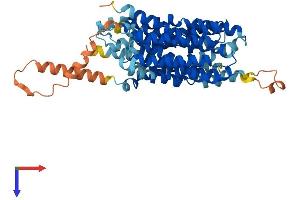AlphaFold protein structure predicition of Mouse Recombinant Slc43a3 Protein, UniprotID A2AVZ9