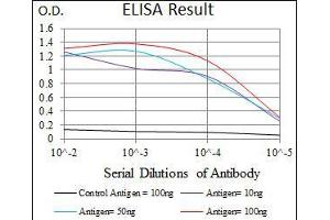 anti-CD5 (CD5) (AA 27-233) antibody