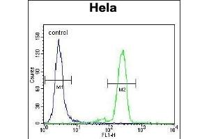 anti-Promyelocytic Leukemia (PML) (AA 470-499), (Sumoylation Site) antibody
