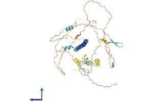 AlphaFold protein structure predicition of Mouse Recombinant Atf2 Protein, UniprotID P16951
