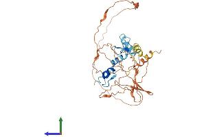 AlphaFold protein structure predicition of Human Recombinant KLF8 Protein, UniprotID O95600