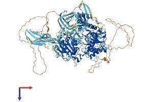 AlphaFold protein structure predicition of Mouse Recombinant Mov10l1 Protein, UniprotID Q99MV5