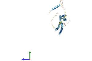 AlphaFold protein structure predicition of Human Recombinant STX18 Protein, UniprotID Q9P2W9