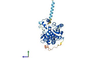 AlphaFold protein structure predicition of Mouse Recombinant B3gnt7 Protein, UniprotID Q8K0J2