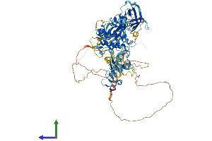 AlphaFold protein structure predicition of Mouse Recombinant Prkd2 Protein, UniprotID Q8BZ03
