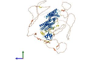 AlphaFold protein structure predicition of Mouse Recombinant Nedd9 Protein, UniprotID O35177
