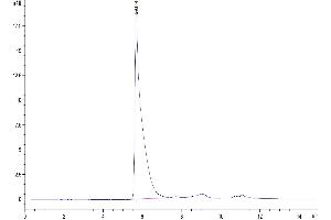 The purity of Human CLEC-1 is greater than 95 % as determined by SEC-HPLC.