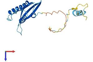 AlphaFold protein structure predicition of Human Recombinant SNX24 Protein, UniprotID Q9Y343