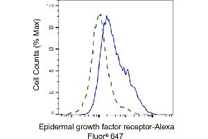 Validation of Epidermal growth factor receptor knockdown using flow cytometry. (EGFR anticorps)