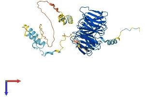 AlphaFold protein structure predicition of Human Recombinant CDC20 Protein, UniprotID Q12834