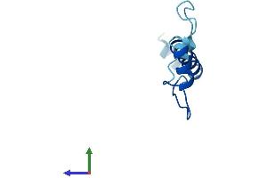 AlphaFold protein structure predicition of Human Recombinant NMES1 Protein, UniprotID Q9C002
