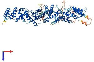 AlphaFold protein structure predicition of Mouse Recombinant Ints10 Protein, UniprotID Q8K2A7