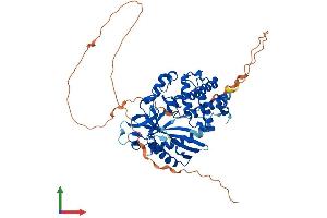 AlphaFold protein structure predicition of Mouse Recombinant Cgas Protein, UniprotID Q8C6L5