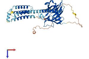 AlphaFold protein structure predicition of Human Recombinant STARD3 Protein, UniprotID Q14849