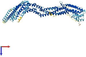AlphaFold protein structure predicition of Mouse Recombinant Exoc3 Protein, UniprotID Q6KAR6