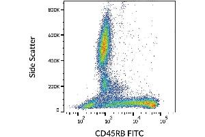 Surface staining of human peripheral blood with anti-CD45RB (MEM-55) FITC. (CD45RB anticorps  (FITC))