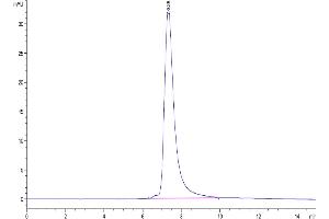 The purity of Human ENPP-2 is greater than 95 % as determined by SEC-HPLC. (ENPP2 Protein (AA 49-863) (His tag))