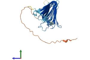 AlphaFold protein structure predicition of Mouse Recombinant Fam185a Protein, UniprotID Q7TPD2