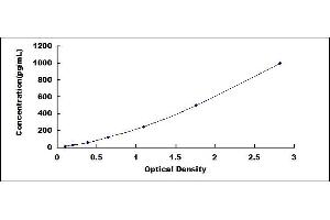 Typical standard curve (NCR3 Kit ELISA)
