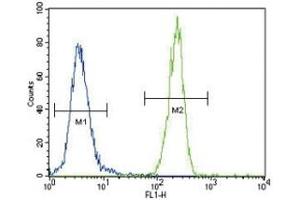 FOXP3 antibody flow cytometric analysis of 293 cells (right histogram) compared to a negative control cell (left histogram).