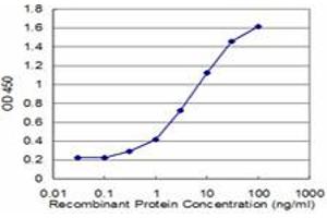 Detection limit for recombinant GST tagged CHP is approximately 0. (CHP anticorps  (AA 1-66))