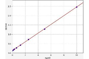 Typical standard curve