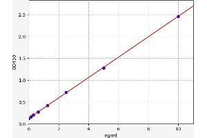 Typical standard curve (Glucocorticoid Receptor Kit ELISA)