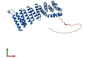 AlphaFold protein structure predicition of Mouse Recombinant Napg Protein, UniprotID Q9CWZ7