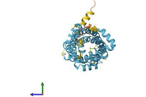 AlphaFold protein structure predicition of Human Recombinant SLC25A22 Protein, UniprotID Q9H936