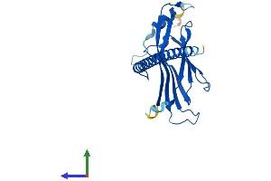 AlphaFold protein structure predicition of Human Recombinant YEATS4 Protein, UniprotID O95619
