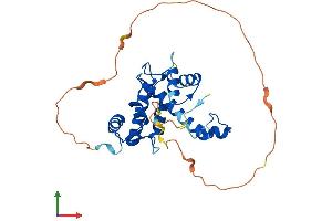 AlphaFold protein structure predicition of Mouse Recombinant Pef1 Protein, UniprotID Q8BFY6