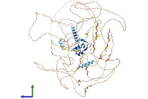 AlphaFold protein structure predicition of Human Recombinant RNF111 Protein, UniprotID Q6ZNA4