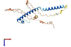 AlphaFold protein structure predicition of Human Recombinant SWI5 Protein, UniprotID Q1ZZU3