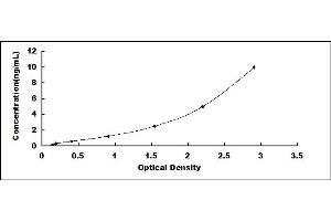 Typical standard curve (Calpain 2 Kit ELISA)
