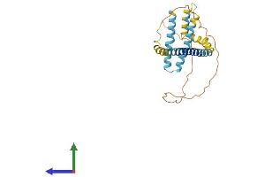 AlphaFold protein structure predicition of Human Recombinant REEP2 Protein, UniprotID Q9BRK0