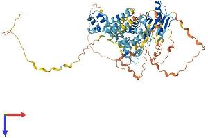 AlphaFold protein structure predicition of Human Recombinant TIGD5 Protein, UniprotID Q53EQ6