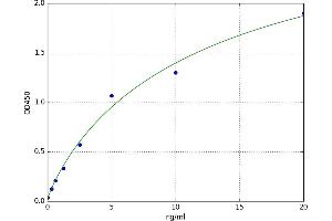 Tubulin Polymerization Promoting Protein (Tppp) ELISA Kit