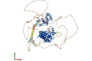 AlphaFold protein structure predicition of Mouse Recombinant Ttk Protein, UniprotID P35761