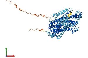 AlphaFold protein structure predicition of Mouse Recombinant Slc11a1 Protein, UniprotID P41251