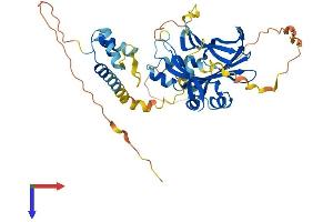 AlphaFold protein structure predicition of Mouse Recombinant Tead2 Protein, UniprotID P48301