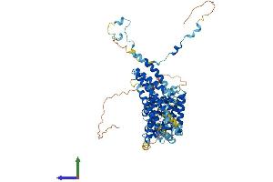 AlphaFold protein structure predicition of Human Recombinant SRP68 Protein, UniprotID Q9UHB9