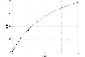 A typical standard curve