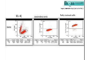 Fixed and permeabilized EL-4 cells were labeled with Rabbit Anti- TAP2/ABCB3 Polyclonal Antibody, Unconjugated (ABIN680123) at 1:200 followed by conjugation to the secondary antibody Goat Anti-Rabbit IgG FITC conjugated Secondary Antibody at 1:200 dilution.