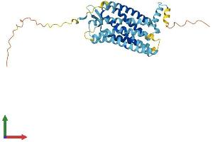 AlphaFold protein structure predicition of Mouse Recombinant Cxcr2 Protein, UniprotID P35343