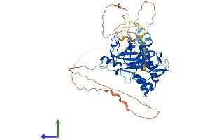 AlphaFold protein structure predicition of Human Recombinant SMAD6 Protein, UniprotID O43541