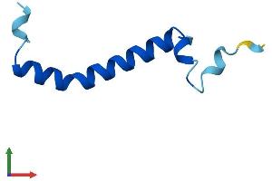 AlphaFold protein structure predicition of Mouse Recombinant Uqcr11 Protein, UniprotID Q9CPX8