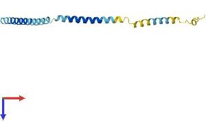 AlphaFold protein structure predicition of Human Recombinant KCNE2 Protein, UniprotID Q9Y6J6