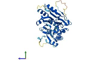 AlphaFold protein structure predicition of Mouse Recombinant Elac1 Protein, UniprotID Q8VEB6